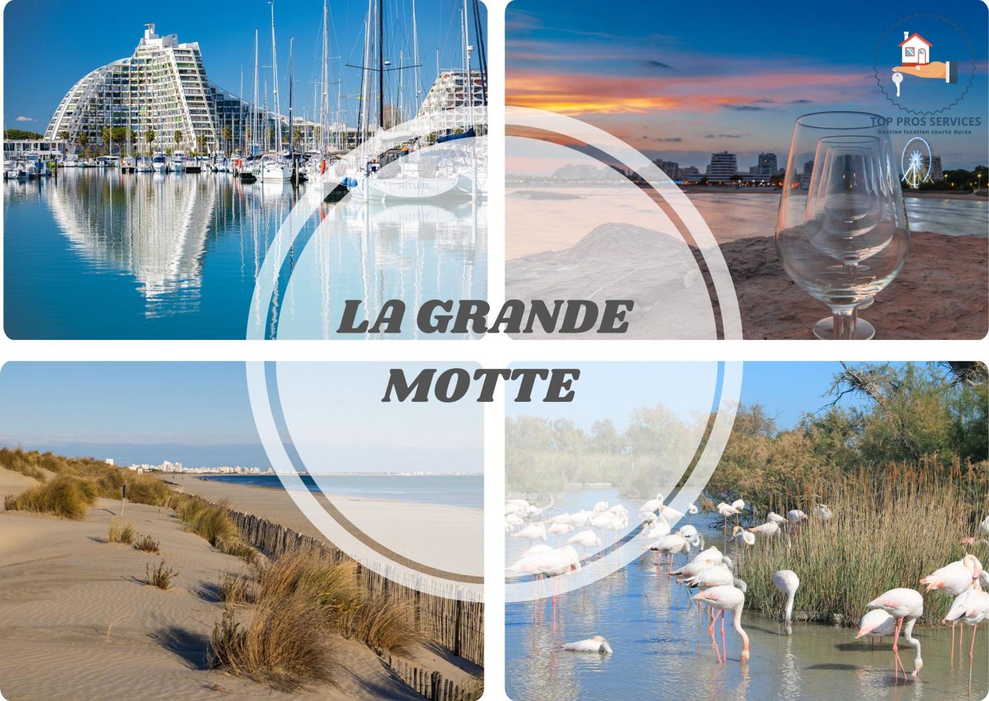 Le Cosy Wifi Clim Jardin Top Pros Servicesconciergerie Montpellier Exteriör bild